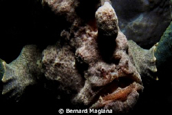 "SHADOW" by Bernard Maglana 